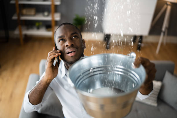Best Water damage cleanup near me  in North Warren, PA