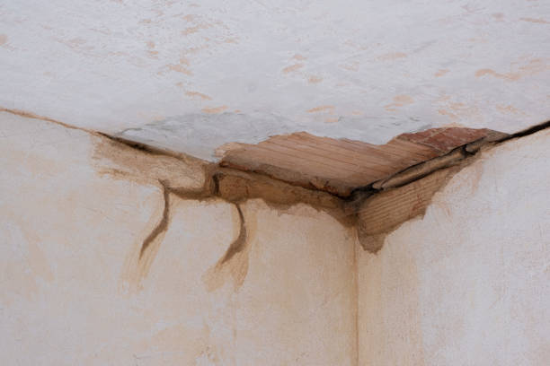 Best Water damage restoration near me  in North Warren, PA