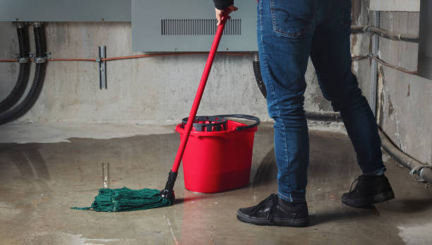Best Ceiling water damage repair  in North Warren, PA