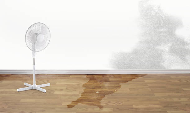 Best Flood damage cleanup  in North Warren, PA