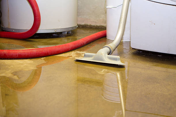 Trusted North Warren, PA Water damage restoration Experts