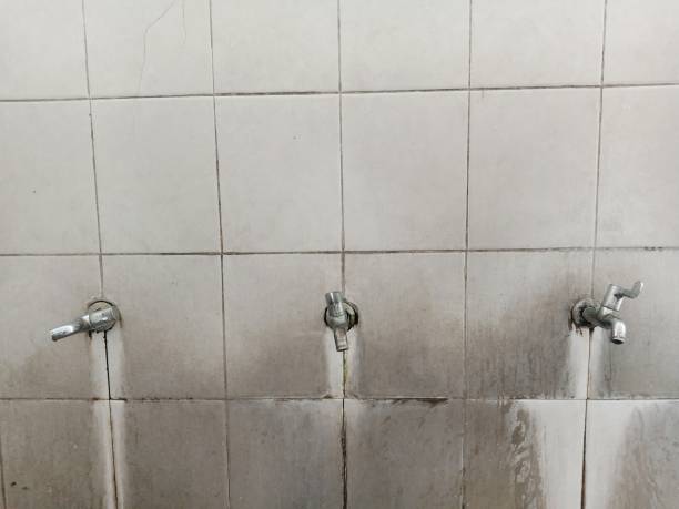Best Fire Damage Restoration  in North Warren, PA