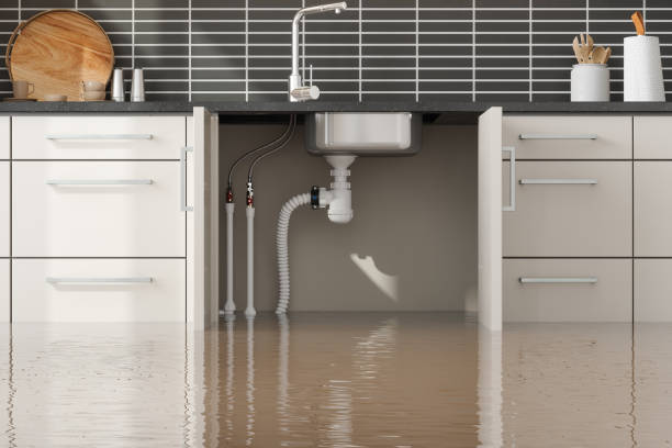 Best Water damage restoration company  in North Warren, PA