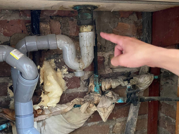 Best Water damage cleanup near me  in North Warren, PA