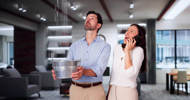 Best Professional water damage repair  in North Warren, PA